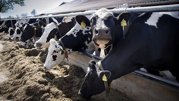 Exkursion der AG Ernährung [Foto: Niklas Schneeweiß, IDN]